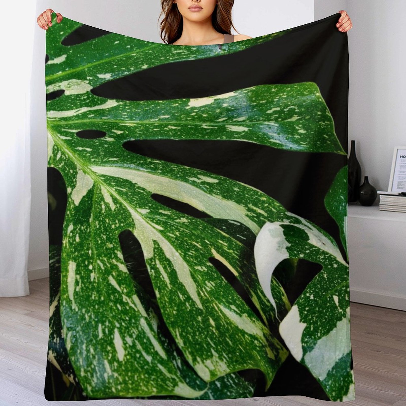 Monstera Thai Constellation Th - đánh giá và giá Monstera Thai Constellation