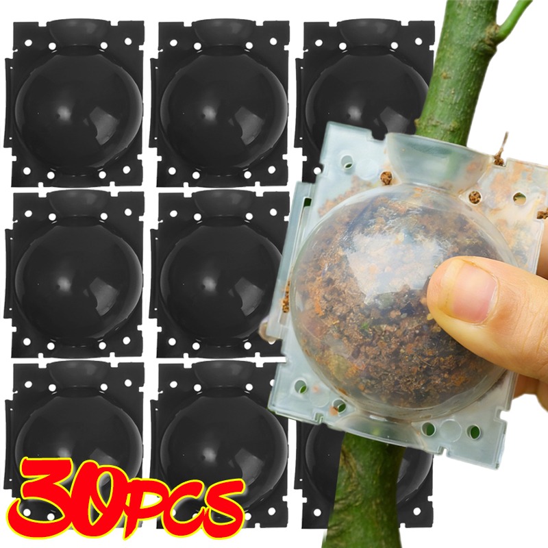 Reusable Plant Rooting Ball Gr - đánh giá và giá Plant Parent