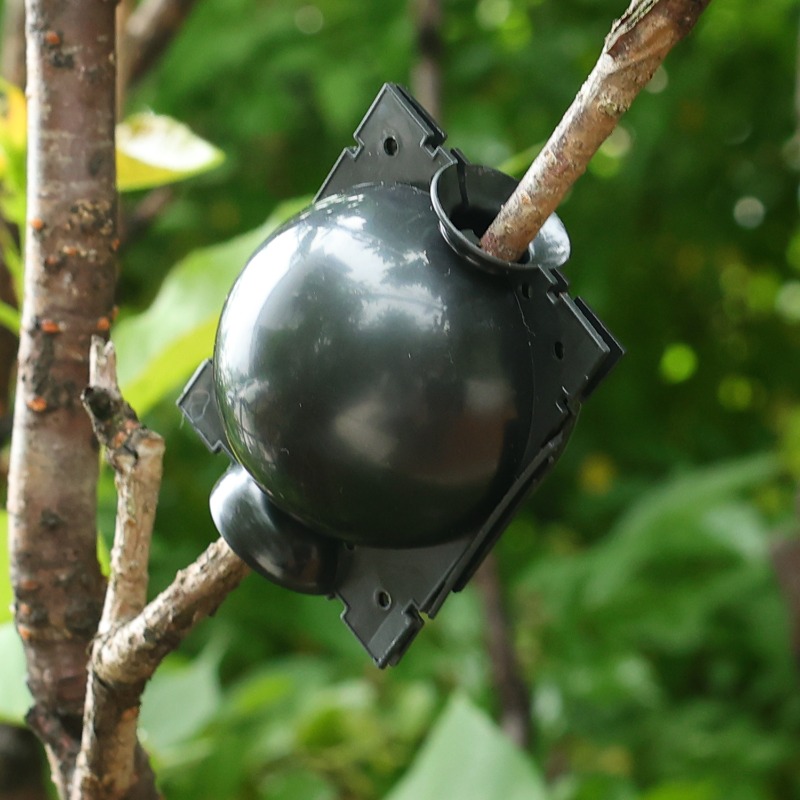 Reusable Plant Rooting Ball Gr - đánh giá và giá Plant Parent