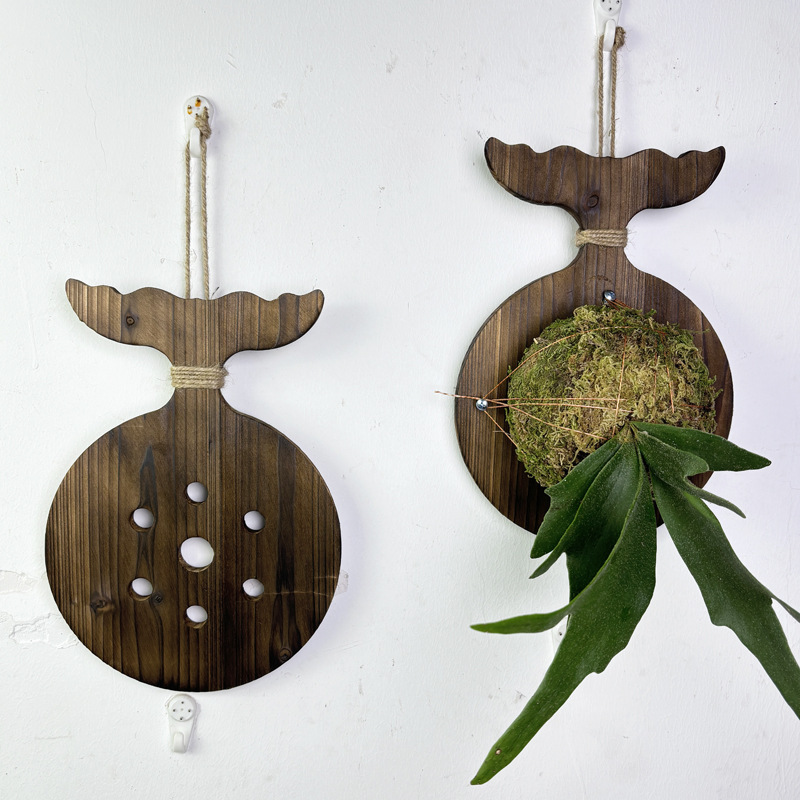 New Wooden Staghorn Fern Wall  - đánh giá và giá Plant Parent