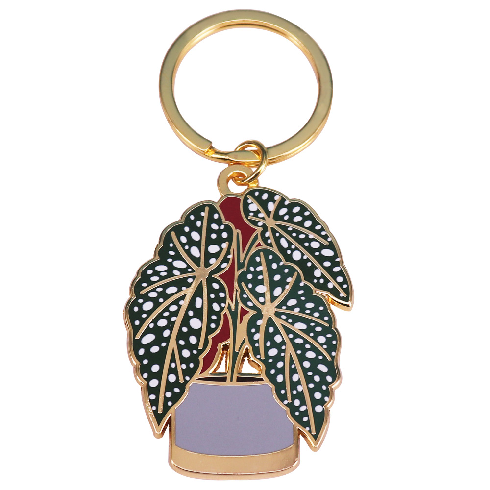 Begonia Plant KeyFob Cute Plan - đánh giá và giá Monstera Thai Constellation