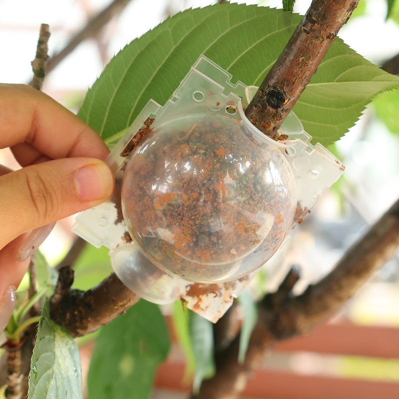 Air Layering Pods Plant Rootin - đánh giá và giá Plant Parent
