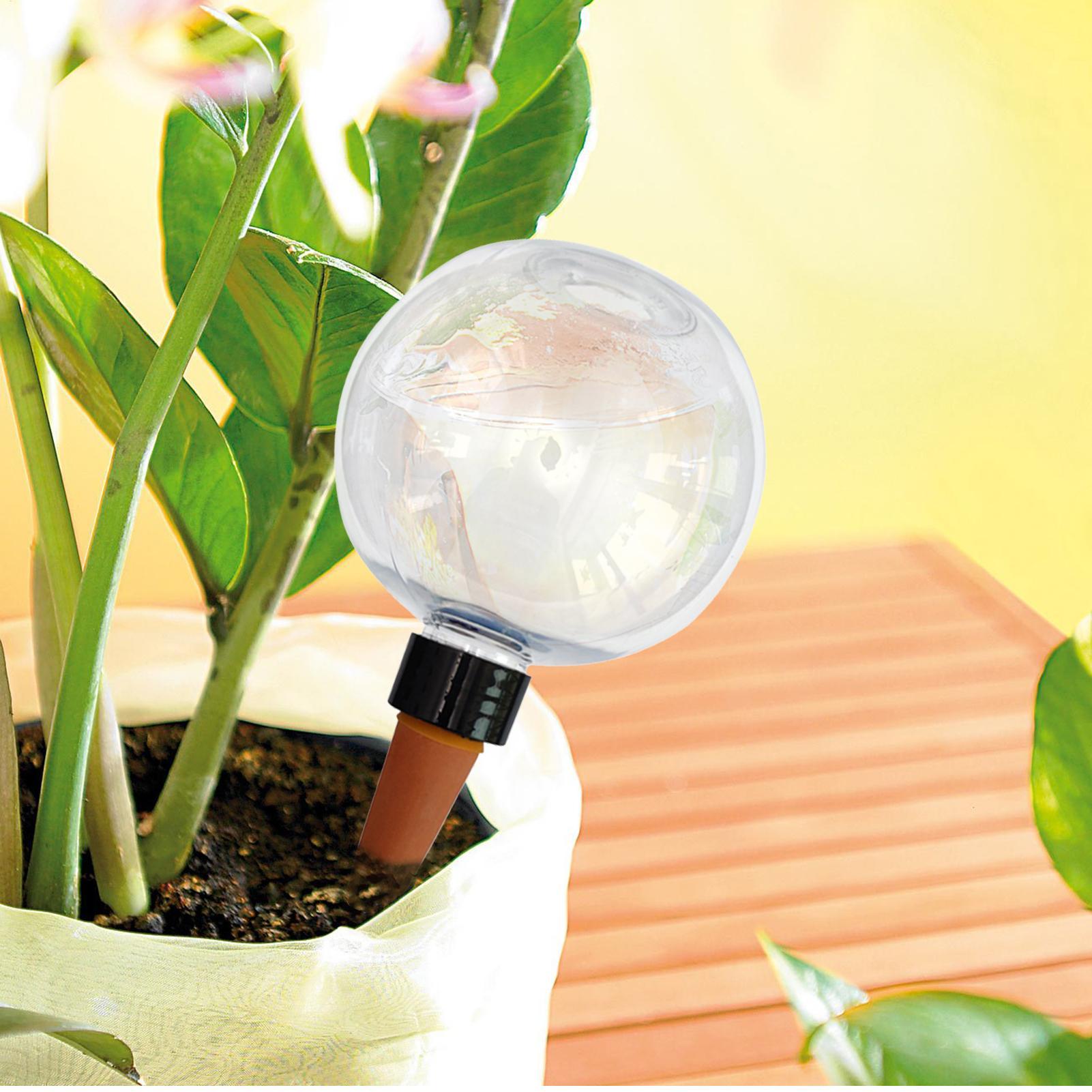 500ml Automatic Plant Watering - đánh giá và giá Plant Parent