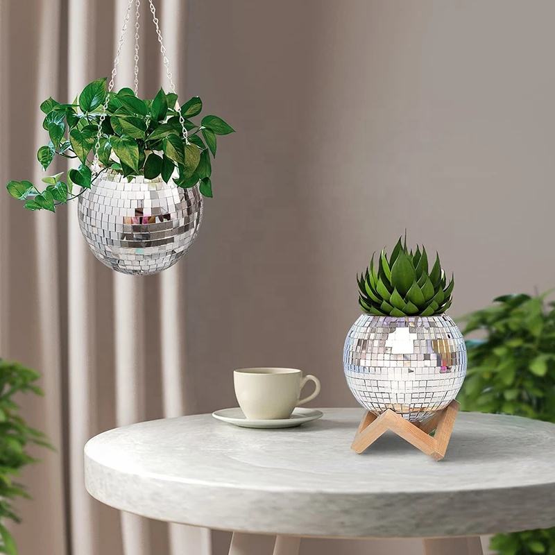 Disco Mirror Ball Hanging Flow - đánh giá và giá Plant Parent