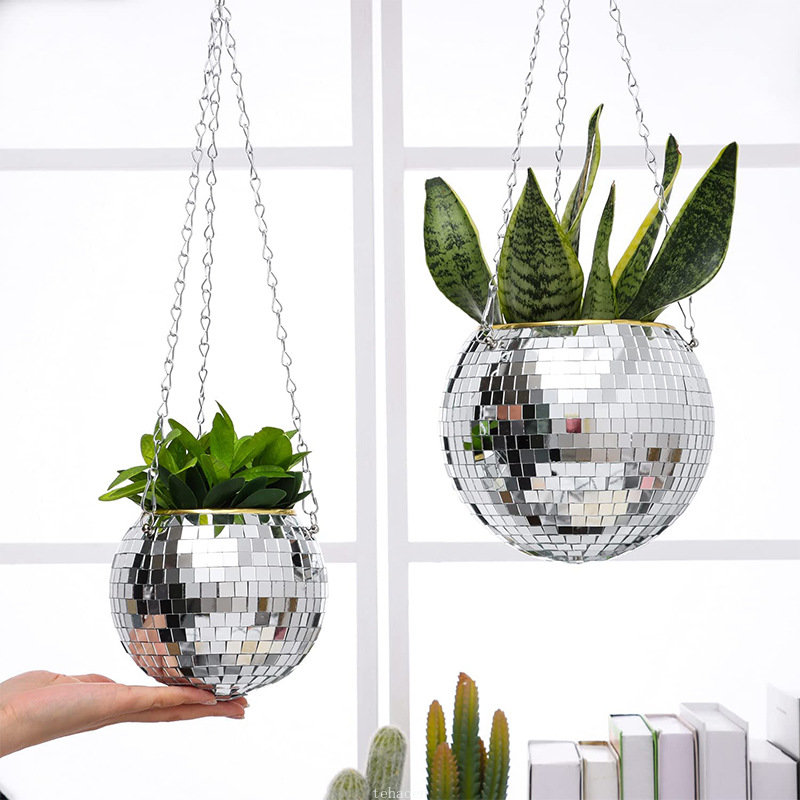 Disco Mirror Ball Hanging Flow - đánh giá và giá Plant Parent