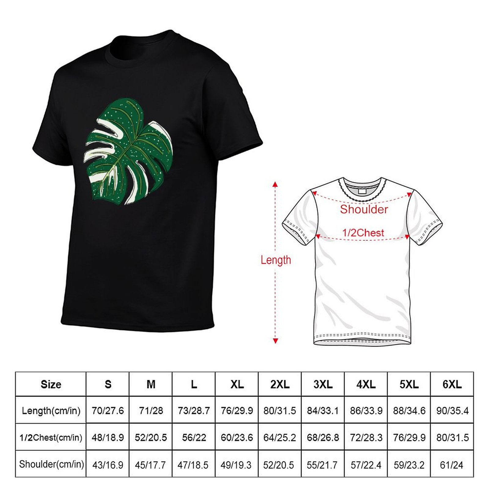 Monstera Thai Constellation T- - đánh giá và giá Monstera Thai Constellation