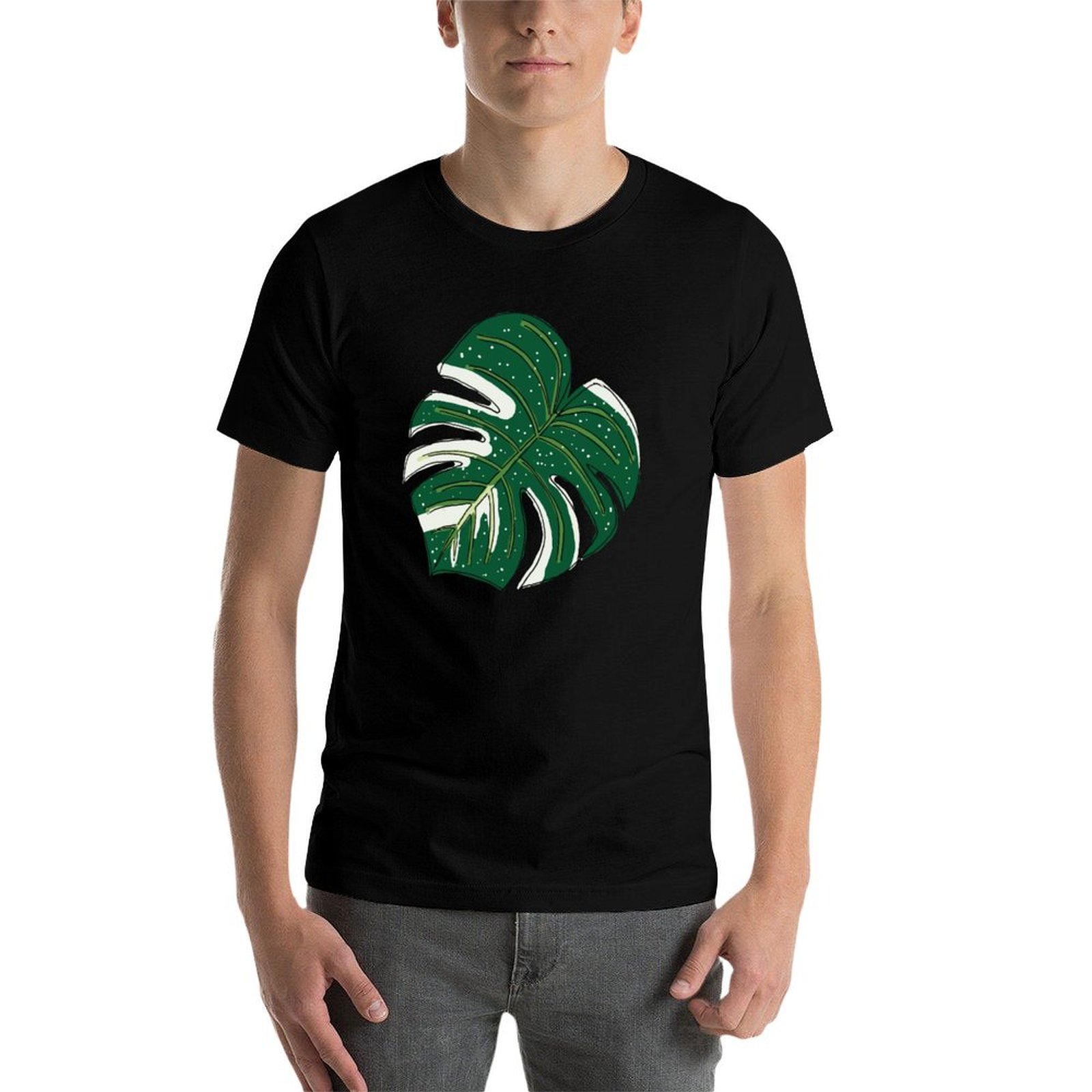 Monstera Thai Constellation T- - đánh giá và giá Monstera Thai Constellation